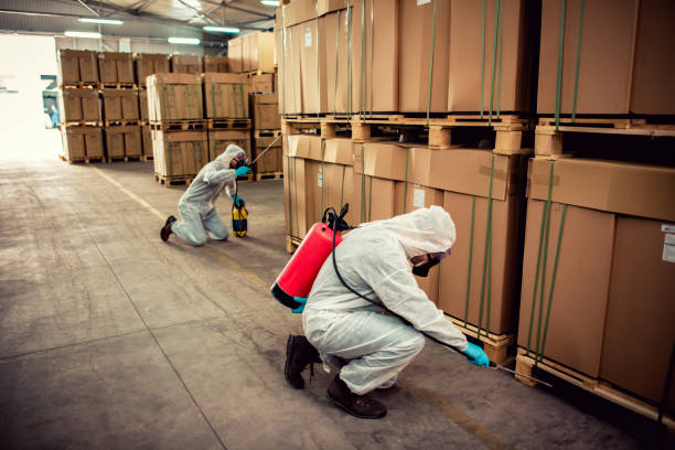 Best Rat Extermination Near Me  in Lakesite, TN