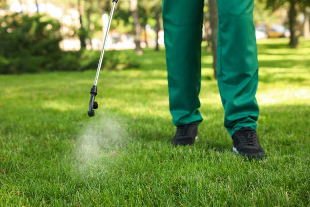 Best Emergency Pest Control  in Lakesite, TN