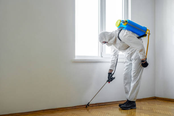 Best Pest Prevention Services  in Lakesite, TN