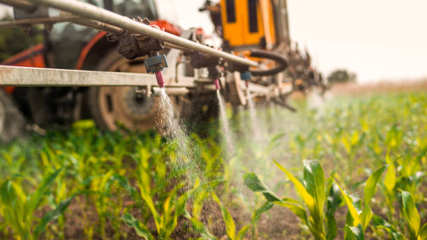 Pest Prevention Services in Lakesite, TN
